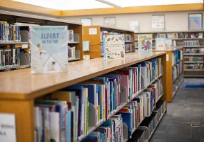 photo of library stacks