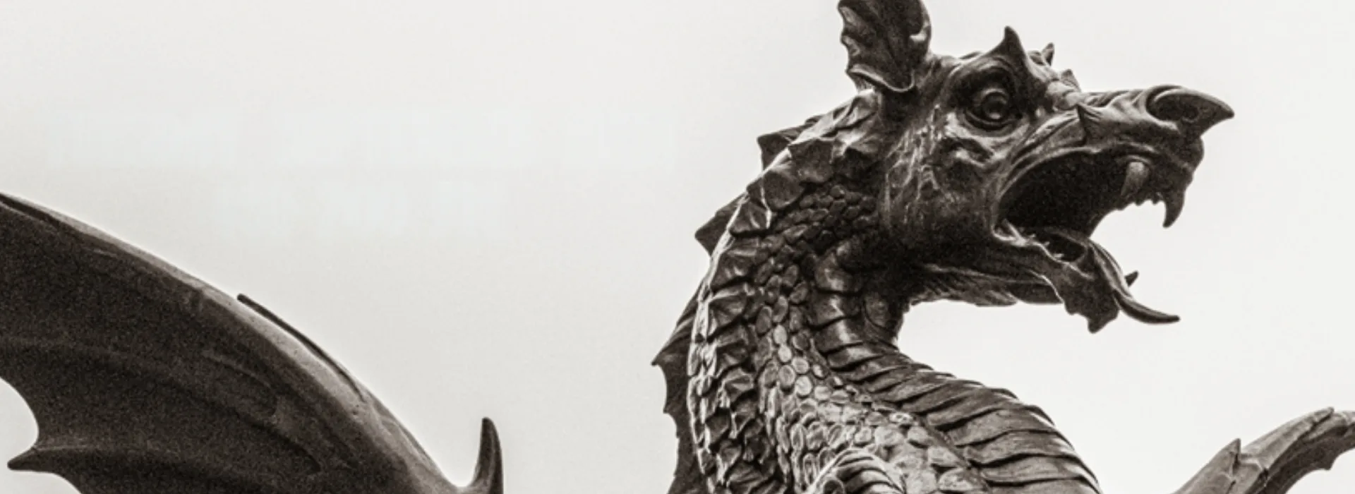 stone dragon