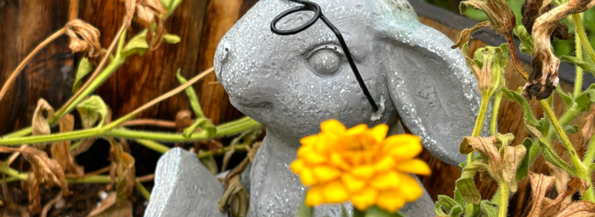 stone statue of bunny reading a book surrounded by plants