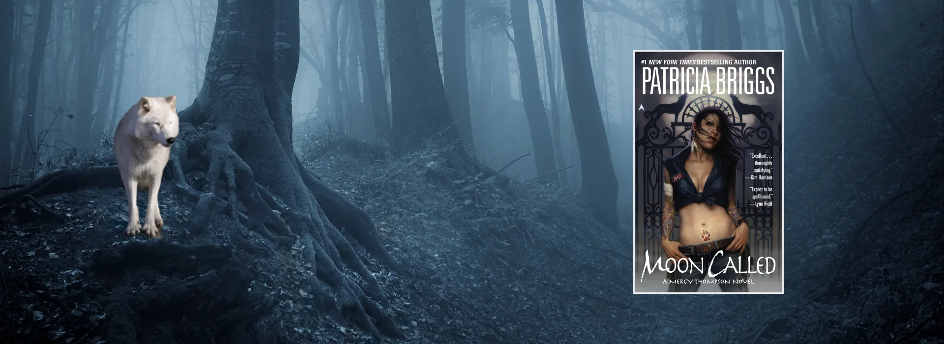 forest at night with white wolf and cover of the books 